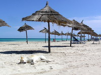 Tunis opet atraktivan za naše turiste?