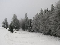 U Austriji palo 20 centimetara snijega