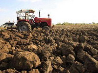 Bugarin: Hitno doneti strategiju u poljoprivredi Srbije