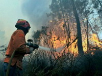 Portugal je danas saopštio da je zatražio pomoć EU u borbi protiv šumskih požara.