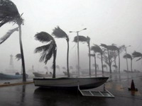 SAD: Oluja odnijela pet ljudskih života, povrijeđena 81 osoba