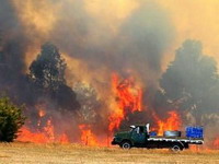Hiljade izbjeglih pred požarima u Tasmaniji, uništeno 80 kuća