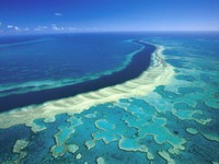 Australski Veliki koraljni greben u opasnosti