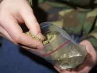 Novosađani traže legalizaciju marihuane