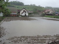 Neke opštine još nisu predale ni rešenja za pomoć oštećenima u poplavama