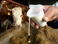 Farmeri strahuju za otkup mlijeka