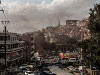 Biblijska scena: Milioni skakavaca prekrili glavni grad Madagaskara