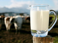 Ministarstvo poljoprivrede RS-a podržalo mljekare