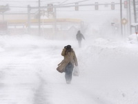 Snježna oluja odnijela 13 života, blokirane ceste