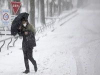 Raste broj poginulih u snježnoj oluji u Japanu