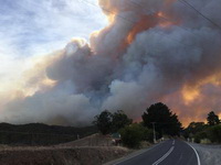 Australija se bori sa više od 300 požara u dvije savezne države