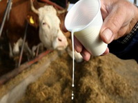 Ako kupci u BiH budu kupovali domaće mlijeko, nema bojaza od konkurencije iz EU