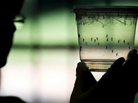 Zika virus nastao da bi se koristio kao biološko oružje