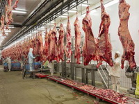 Turska će nastaviti uvoz mesa iz BiH