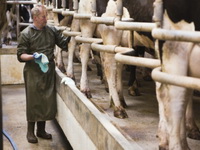 Vlada podržava mlekare, i tako će ostati