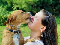 Trebamo li dopustiti psu da nas liže: Ljudske i pseće bakterije se ne bi trebale miješati