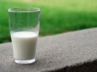 BiH povećala izvoz i uvoz mlijeka i mliječnih proizvoda
