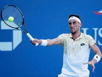 Džumhur i Bašić danas počinju nastupe na ATP Challengerima Bloisu i Ilkleyju