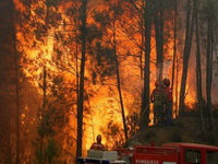 Požari u Portugalu odsijecaju ceste, hiljade ljudi bježe