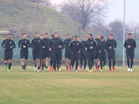 Počele pripreme FK Sarajevo: Musemić ne računa na Novakovića i Ivetića
