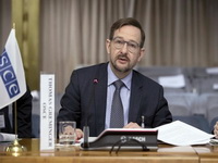 Generalni sekretar OSCE-a: Rizično je održati izbore bez izmjena Izbornog zakona BiH