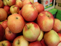 Razotkrivaju se mućke u izvozu jabuka u Rusiju: Institucije RS dozvoljavale prevare