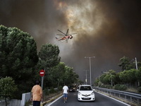 Šumski požari bjesne oko Atine, više stotina osoba evakuisano