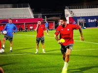 Glavna tema u Kataru: Stižu dobre vesti sa treninga Srbije!