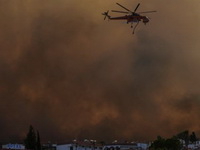 Vatrogasci drže pod kontrolom situaciju u Grčkoj