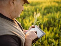 Dobra vest za poljoprivrednike: Zahteve za podsticaje od sad možete podneti i na aplikaciji