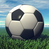 Fudbal: Partizan - Pjunik