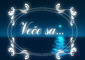 Ve�e sa�
