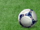Premier League: Tottenham � Newcastle DIREKTNO