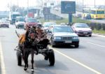 Splasla navala na auto-škole