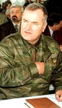 Ljajić: Uz Mladića minimalan broj ljudi