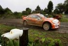 WRC: Gronholm vodi u Hamiltonu