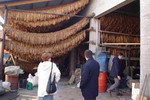 Na uvoz duvana potrošeno 75 miliona dolara