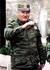 Godina raspleta