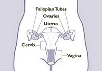 Rak jajnika češći nakon hormonske terapije