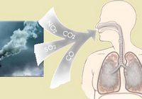 Ugljen-monoksid sprečava infekcije mozga