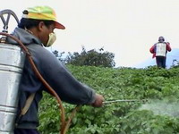 Izlaganje pesticidima izaziva astmu