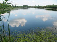 Izlet po Banatu - Bela Crkva, Vršac, Zrenjanin