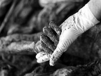 Ekshumirano 490 posmrtnih ostataka Bošnjaka iz Srebrenice