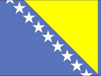 Euro 2008: Turska-BiH 1:0