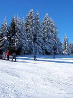 Pogled sa vrha Golije