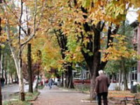Uhapšen Vinko Kondić
