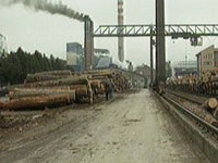 Počela isplata plaća radnicima »Krivaje«