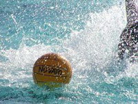 Formirana vaterpolo Jadranska liga