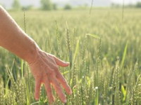 2,66 miliona KM za osposobljavanje zemljišta za poljoprivrednu proizvodnju