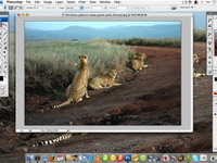 Photoshop CS3 - olakšice za majstore slike